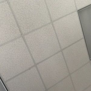 Meet your Posher, Mallory